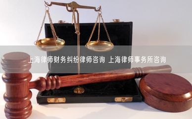 上海財務糾紛律師咨詢與專業律師事務所指南